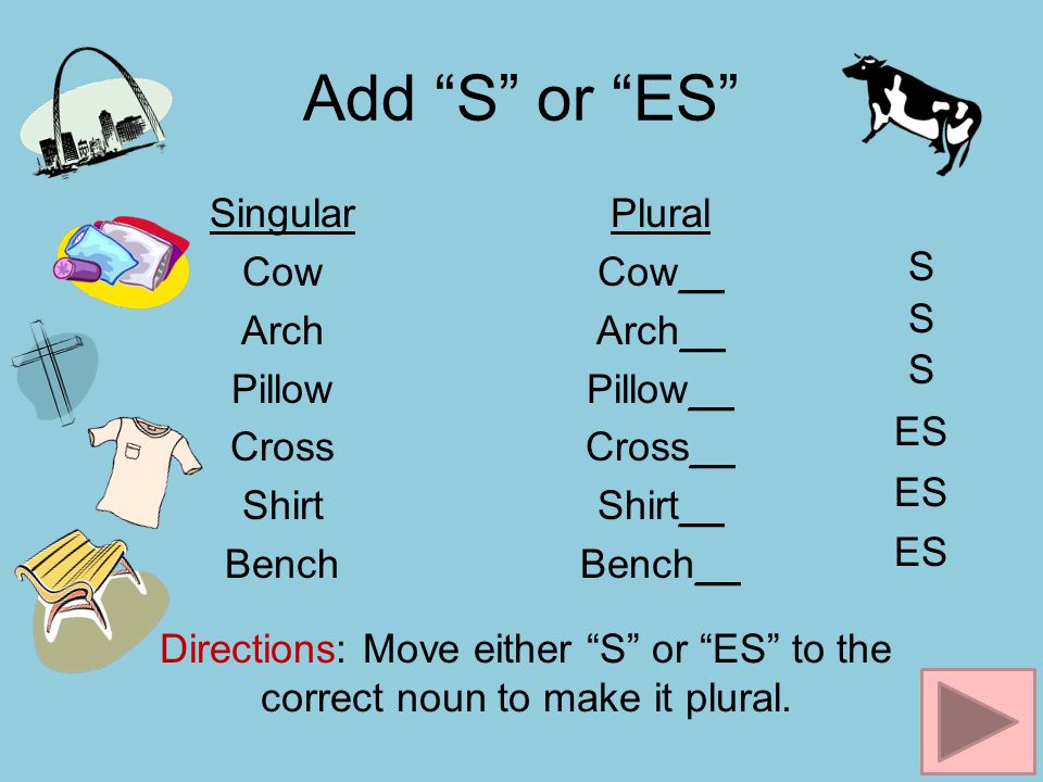 Add S or ES Singular Cow Arch Pillow Cross Shirt Bench