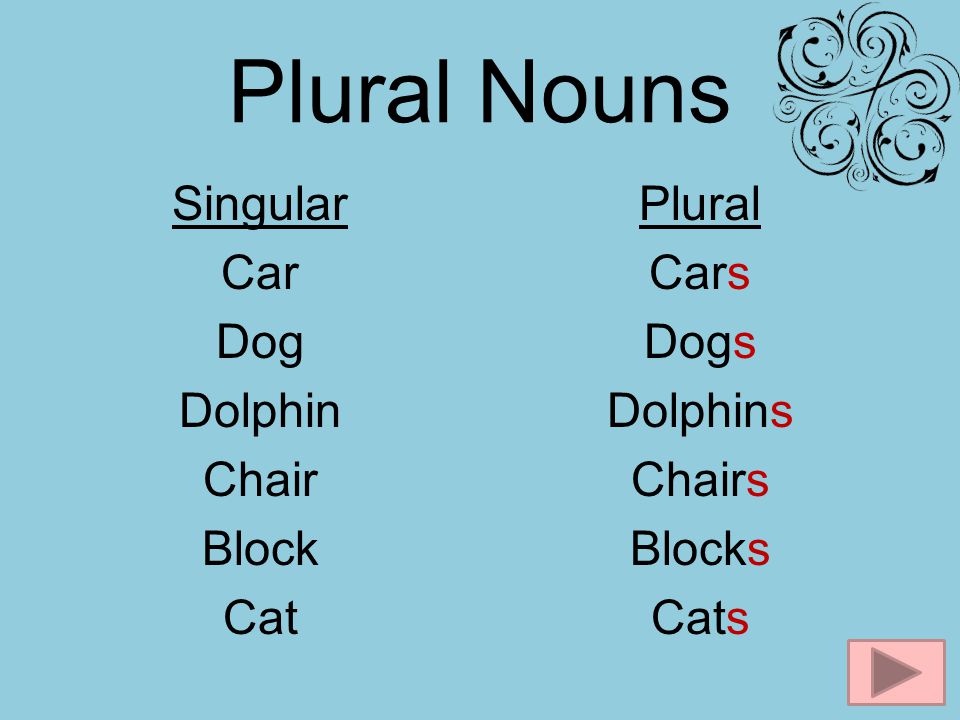 Plural Nouns Singular Car Dog Dolphin Chair Block Cat