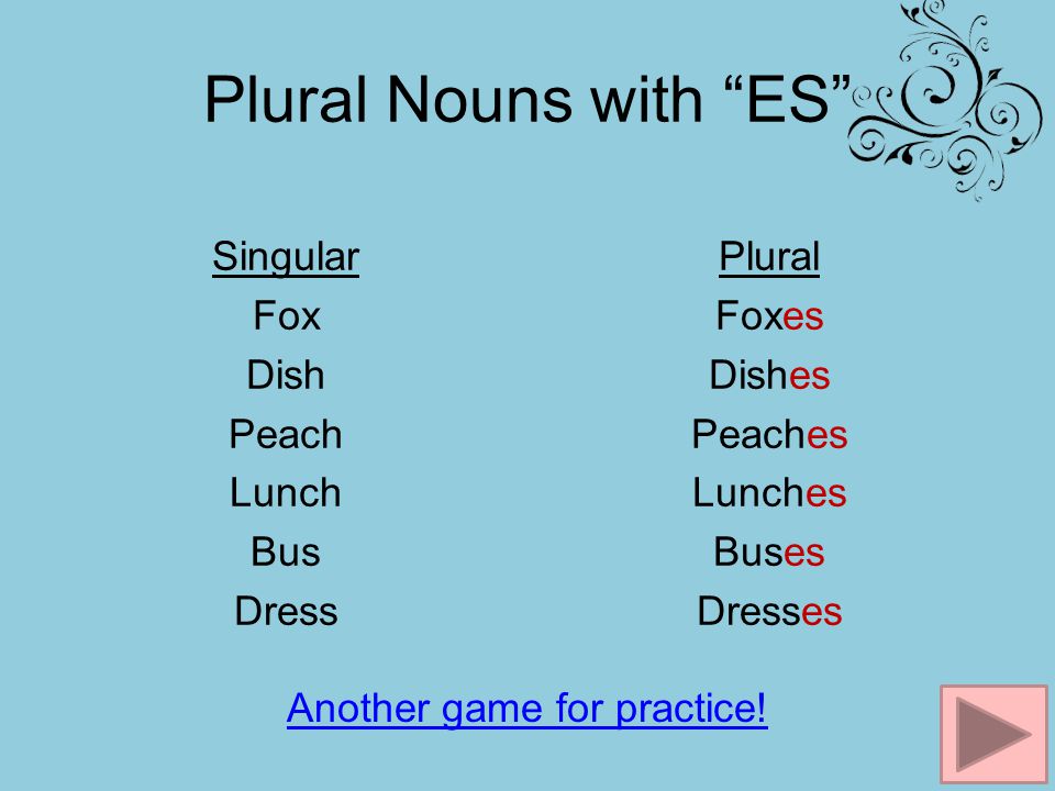Plural Nouns with ES Singular Fox Dish Peach Lunch Bus Dress