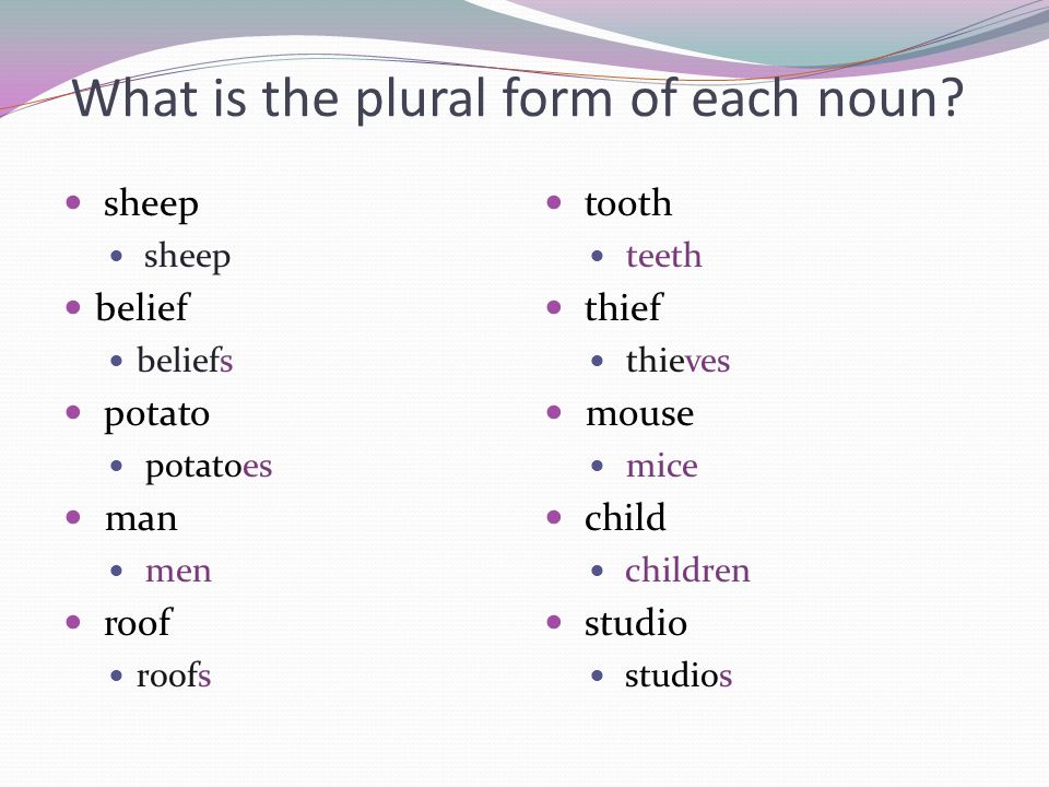 What is the plural form of each noun