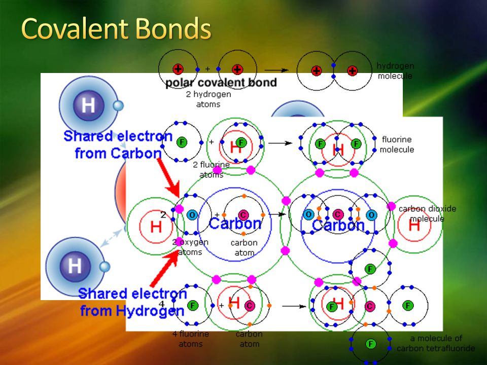 Covalent Bonds C2H6= ethane; C3H8= propane
