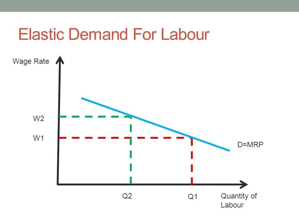 Elastic Demand For Labour