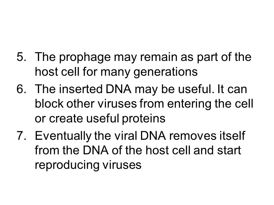 The prophage may remain as part of the host cell for many generations