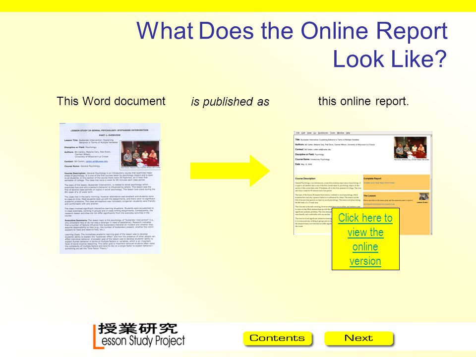 What Does the Online Report Look Like