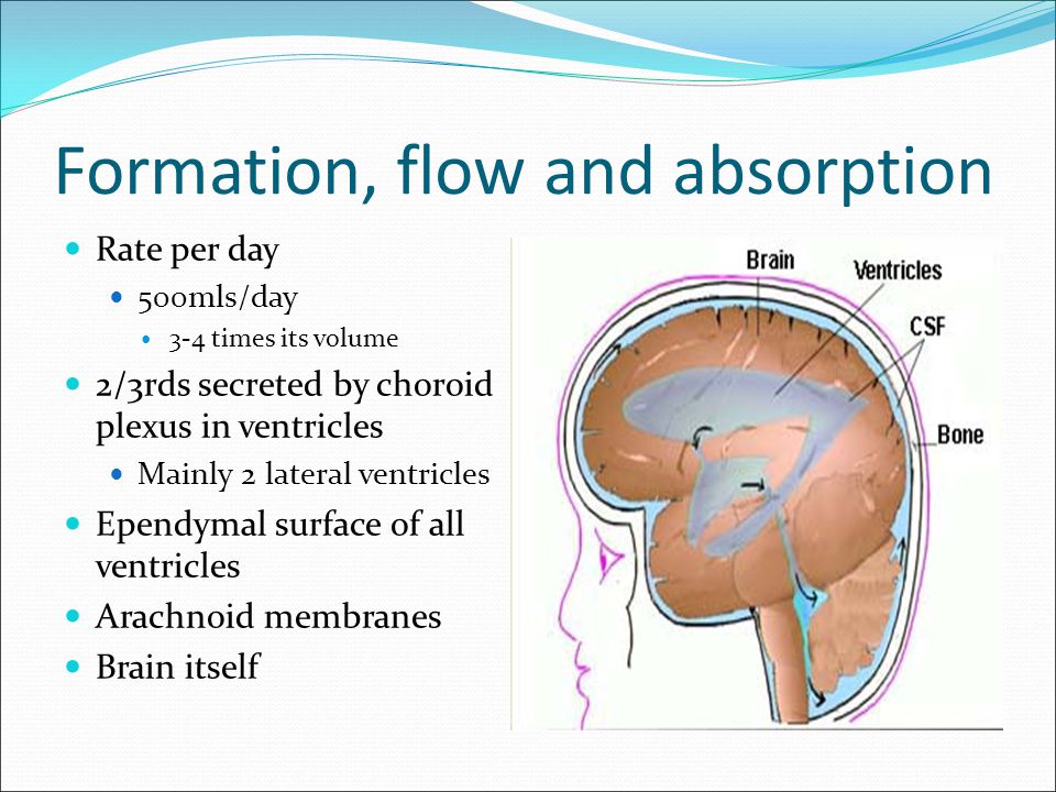 Cerebral circulation & CSF formation - ppt video online download