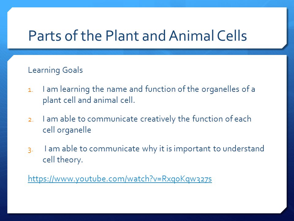 Parts of the Plant and Animal Cells