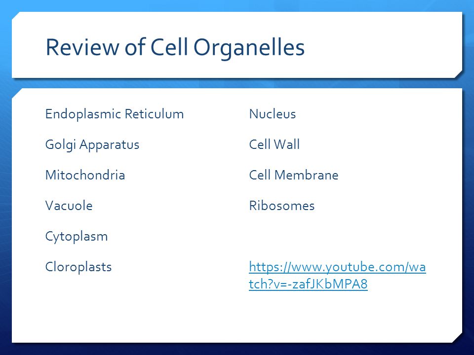 Review of Cell Organelles