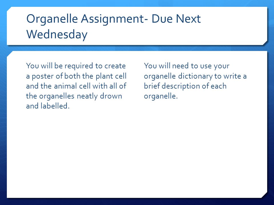 Organelle Assignment- Due Next Wednesday