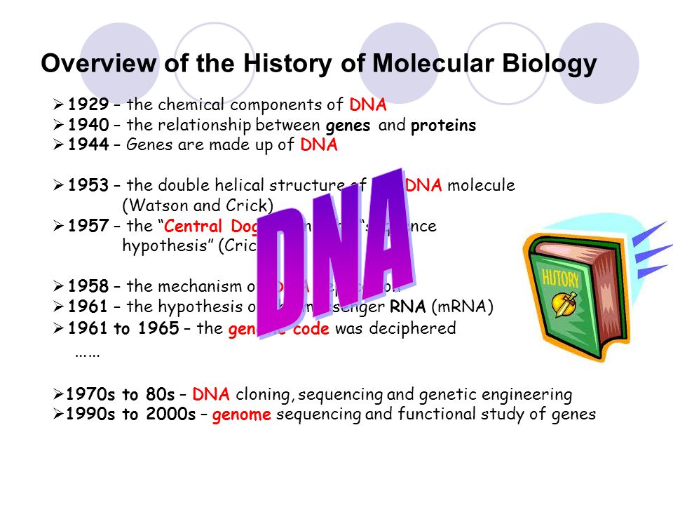 History of Molecular Biology - ppt video online download