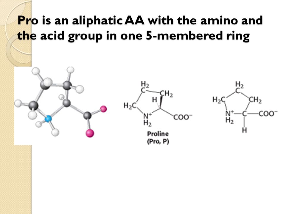 Pro is an aliphatic AA with the amino and the acid group in one 5-membered ring
