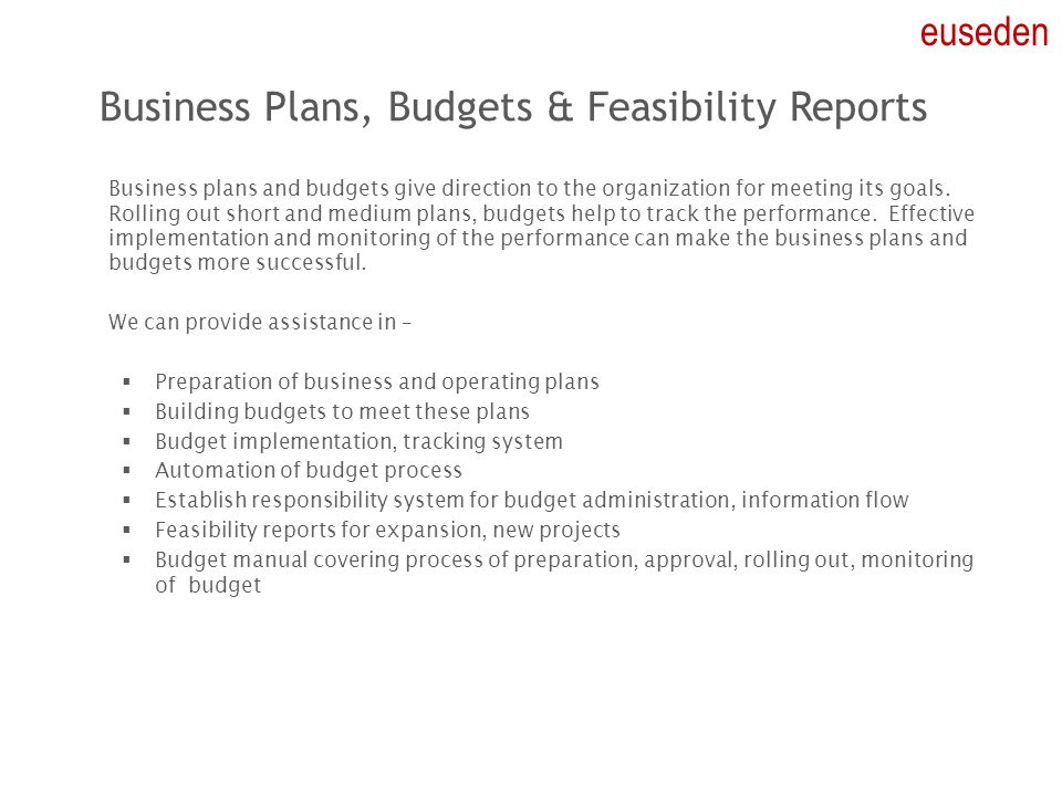 Business Plans, Budgets & Feasibility Reports