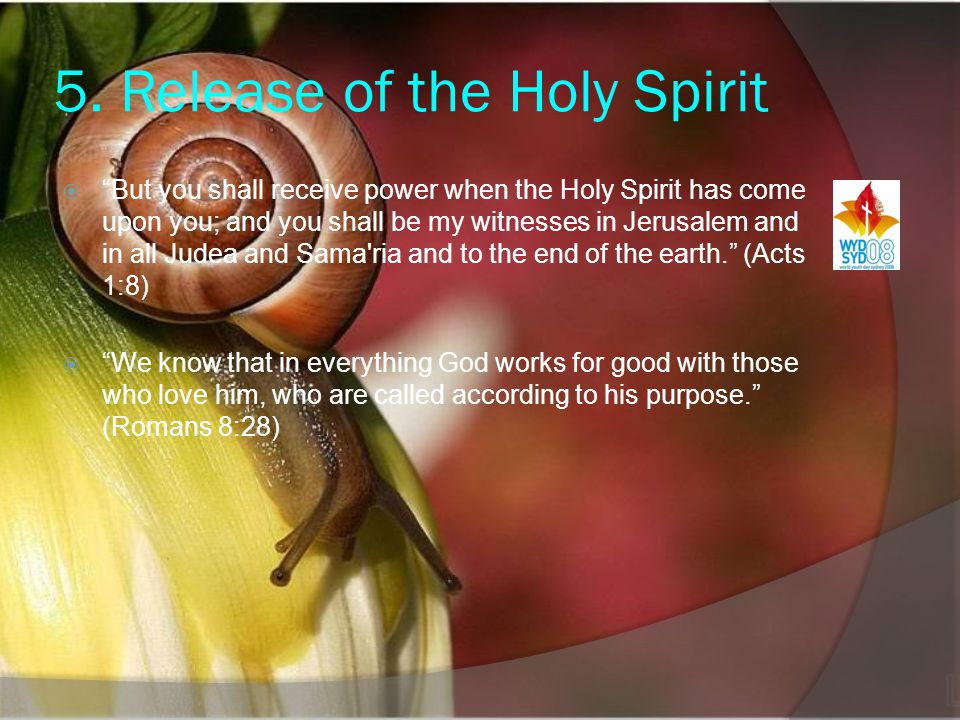 5. Release of the Holy Spirit