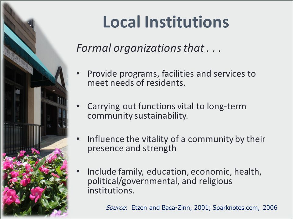 Local Institutions Formal organizations that Provide programs, facilities and services to meet needs of residents.