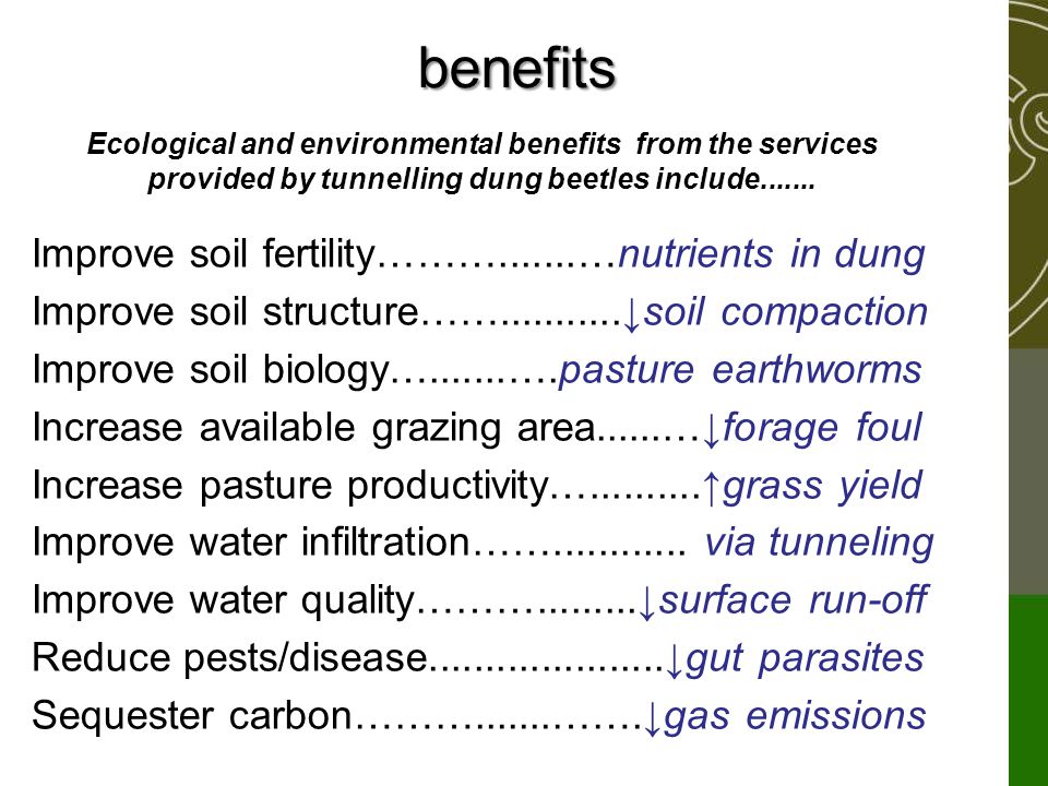 benefits Improve soil fertility……… …nutrients in dung