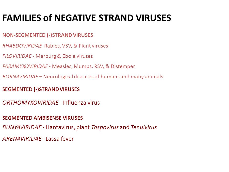 Rna Viruses Polarity Sense Or Sense Size Of Genome Ppt Video Online Download Rna Viruses Polarity Sense Or Sense Size Of Genome Ppt Video Online Download