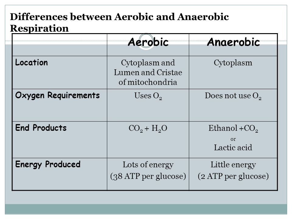 what are the end products of aerobic respiration