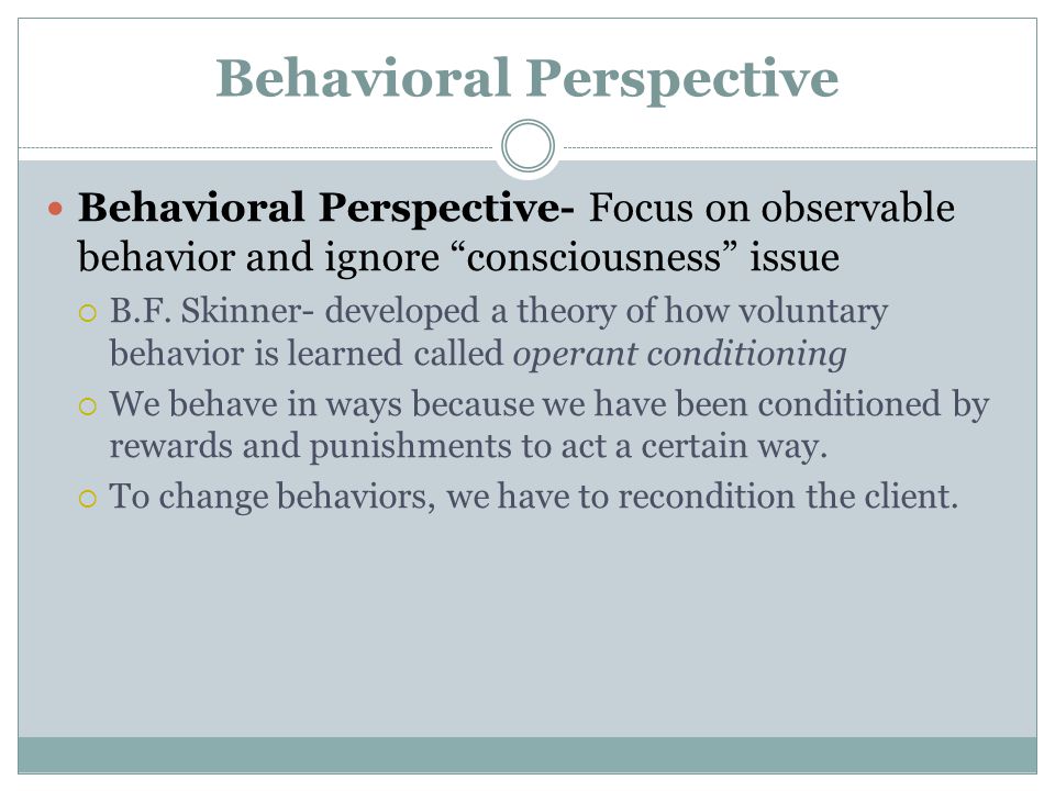 the behavioral perspective definition