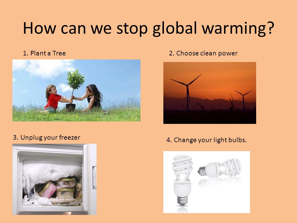 How can we stop global warming
