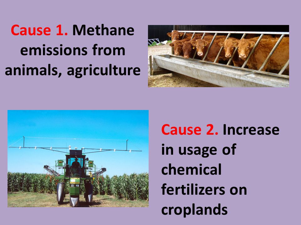 Cause 1. Methane emissions from animals, agriculture