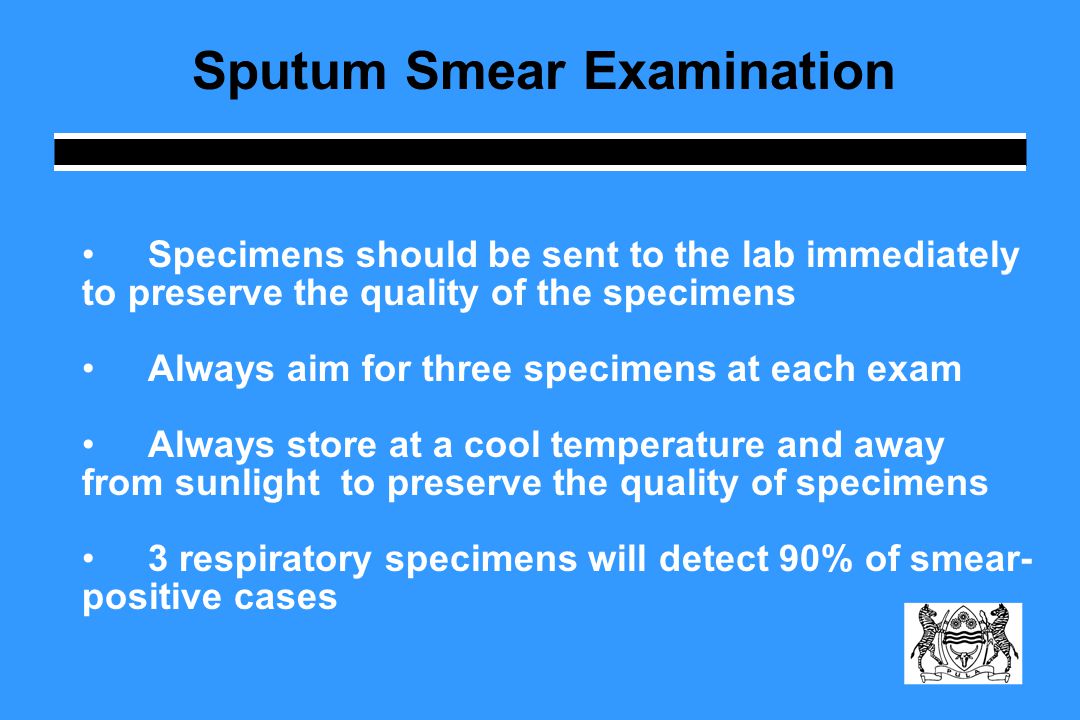 Sputum Smear Examination