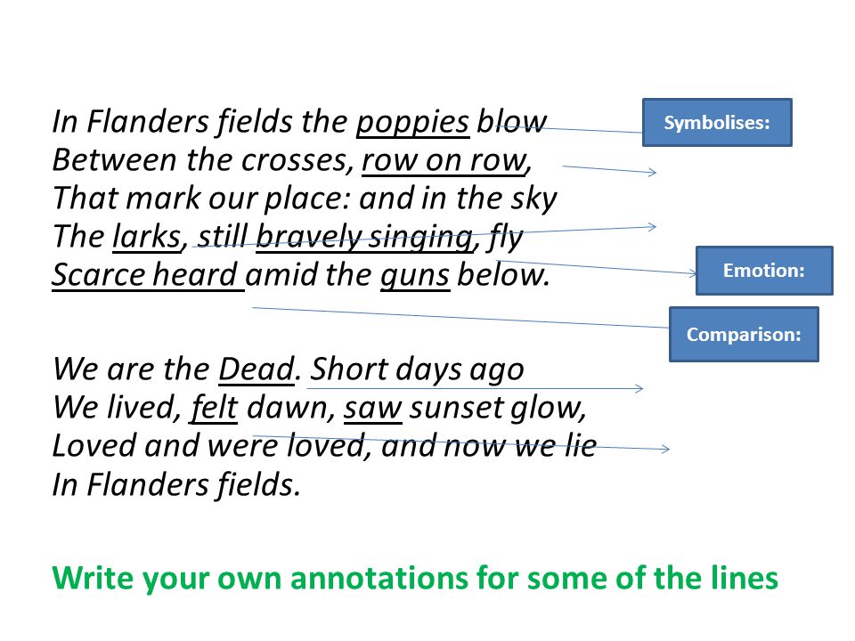 flanders field poem meaning for kids