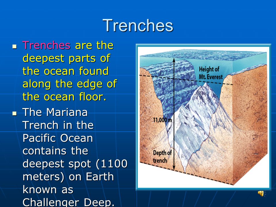 Oceans Characteristics Features Life Forms Ppt Video Online Download