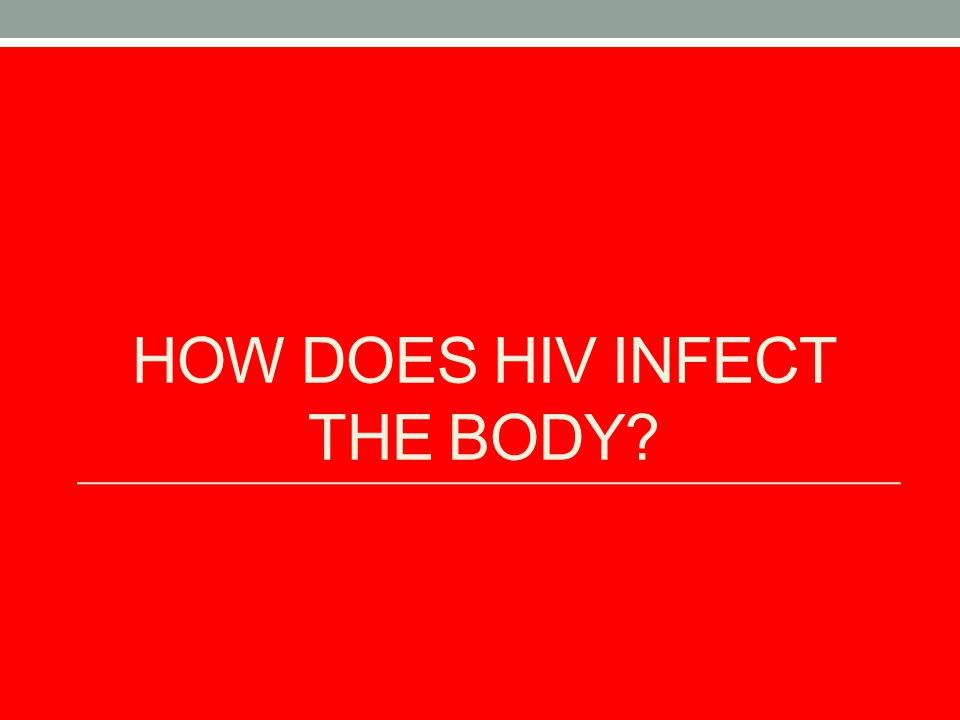 How does HIV Infect the Body