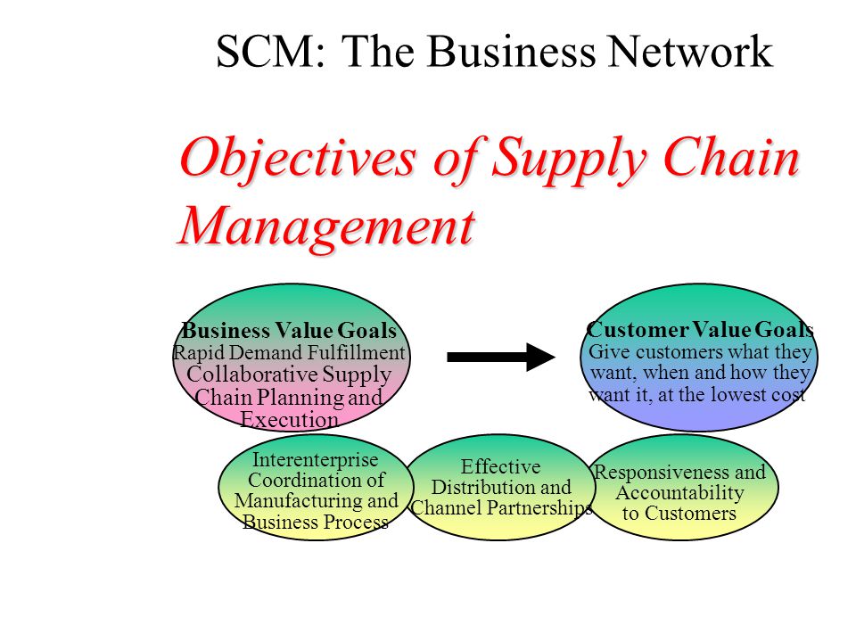 SCM: The Business Network