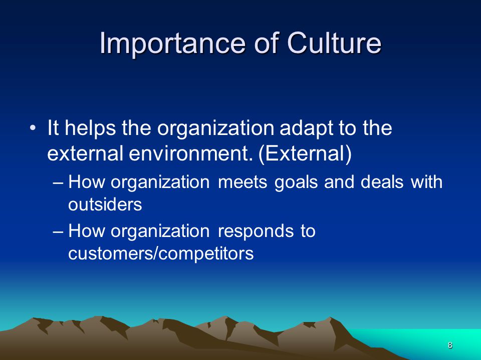 Importance of Culture It helps the organization adapt to the external environment. (External) How organization meets goals and deals with outsiders.