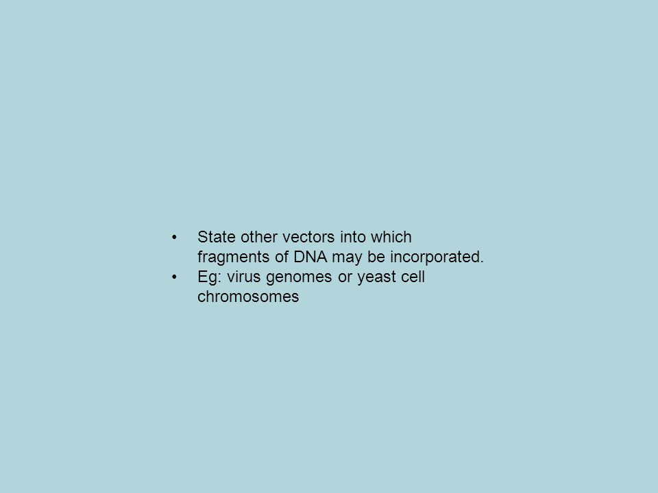 State other vectors into which fragments of DNA may be incorporated.