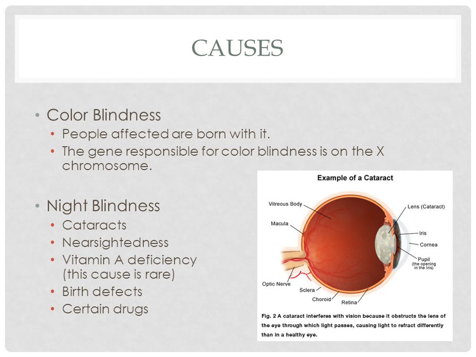 Night And Color Blindness Ppt Video Online Download