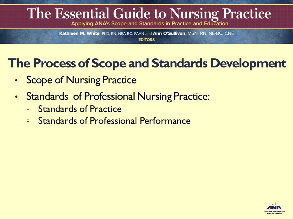 process for developing nursing standards of practice