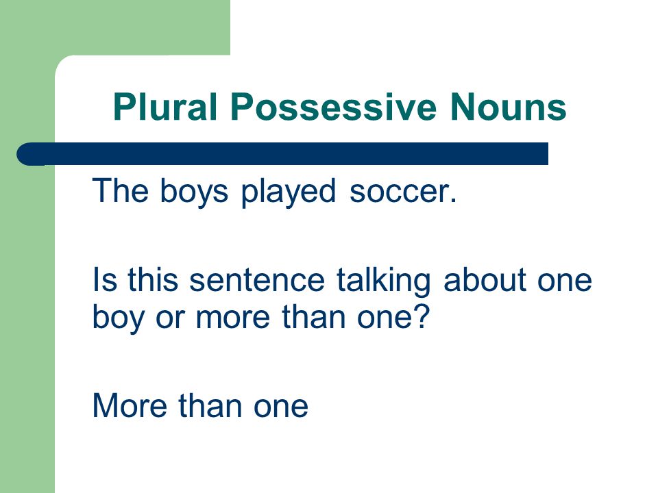Plural Possessive Nouns