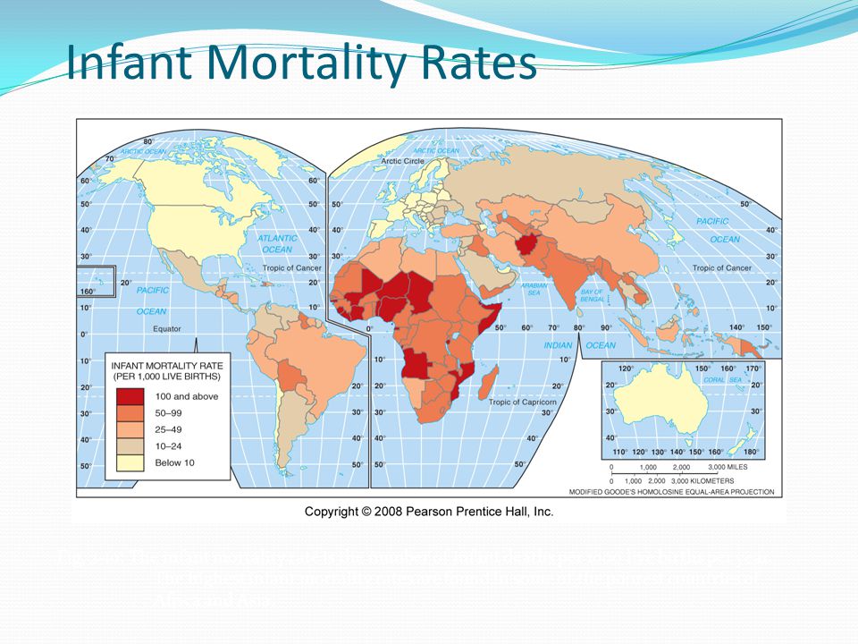 Infant Mortality Rates