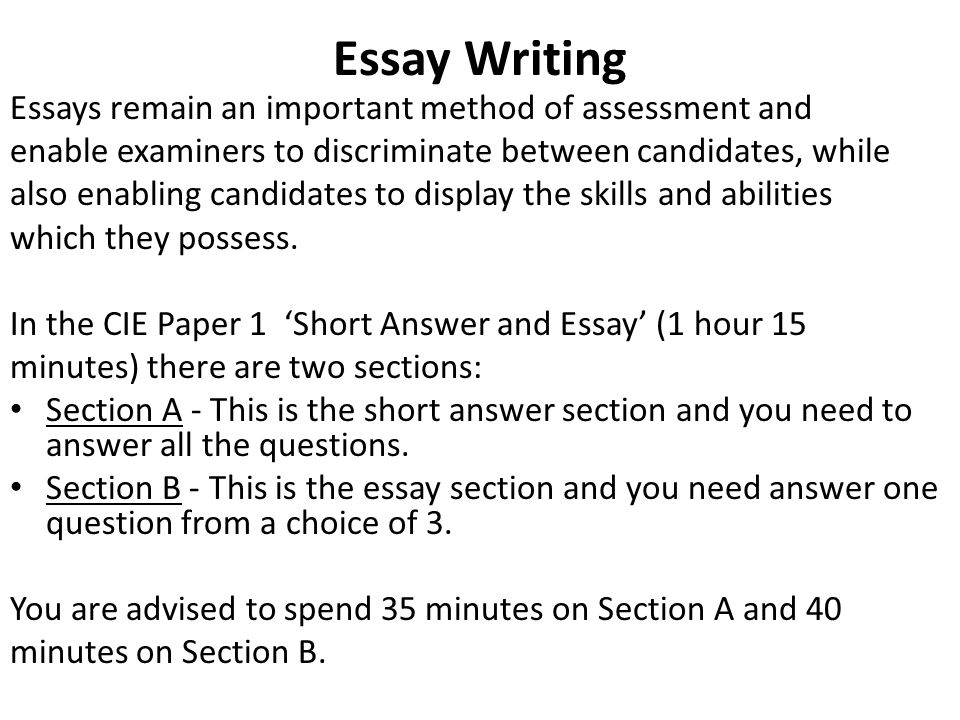 how to write a business essay