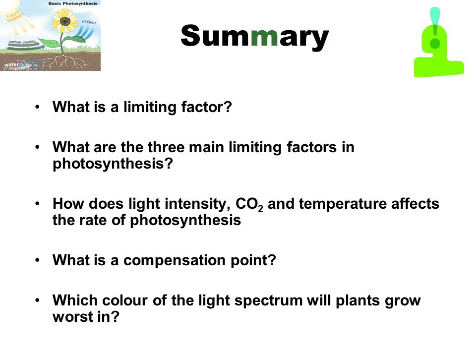 what are the factors of photosynthesis