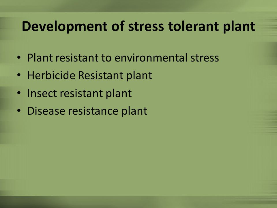 Development of stress tolerant plant