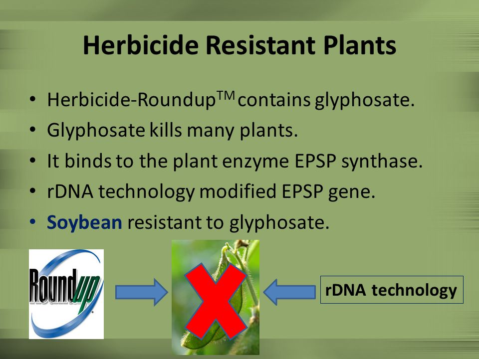 Herbicide Resistant Plants