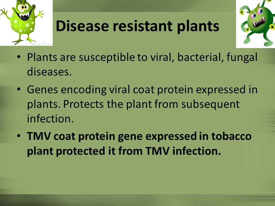 Disease resistant plants
