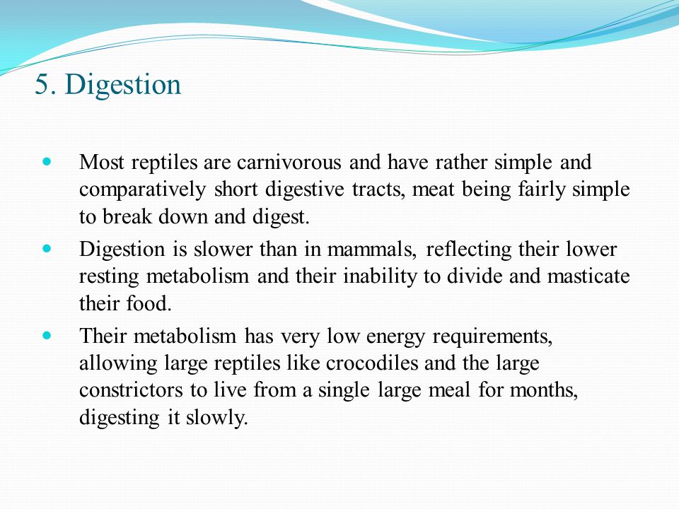 5. Digestion