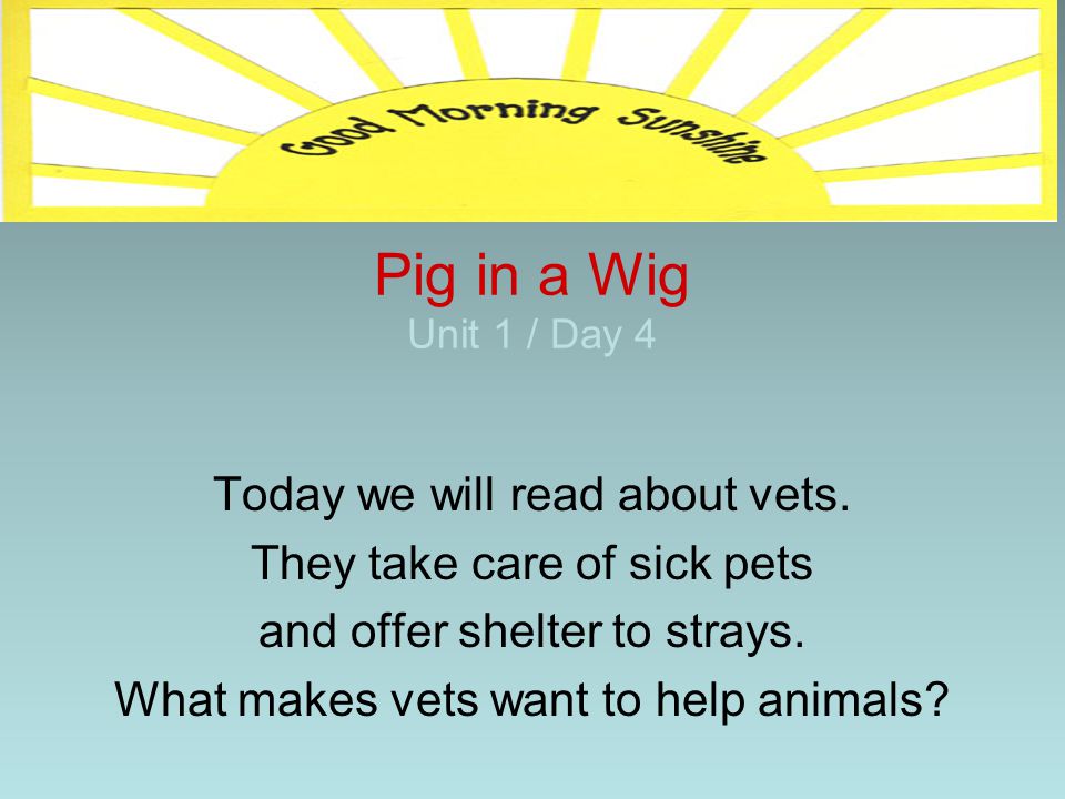 Pig in a Wig Unit 1 / Day 4 Today we will read about vets.