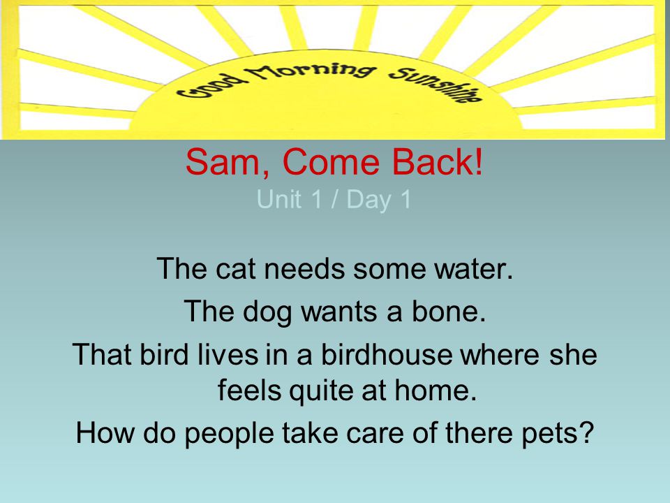 Sam, Come Back! Unit 1 / Day 1 The cat needs some water.