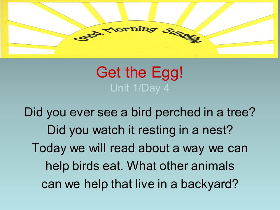 Get the Egg! Unit 1/Day 4 Did you ever see a bird perched in a tree