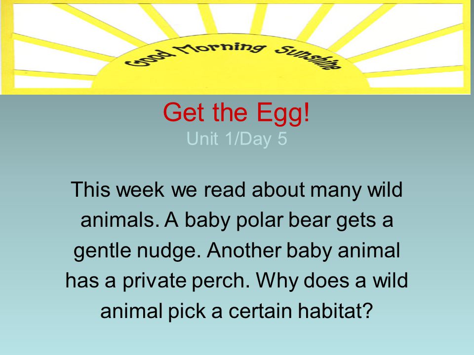 Get the Egg! Unit 1/Day 5 This week we read about many wild