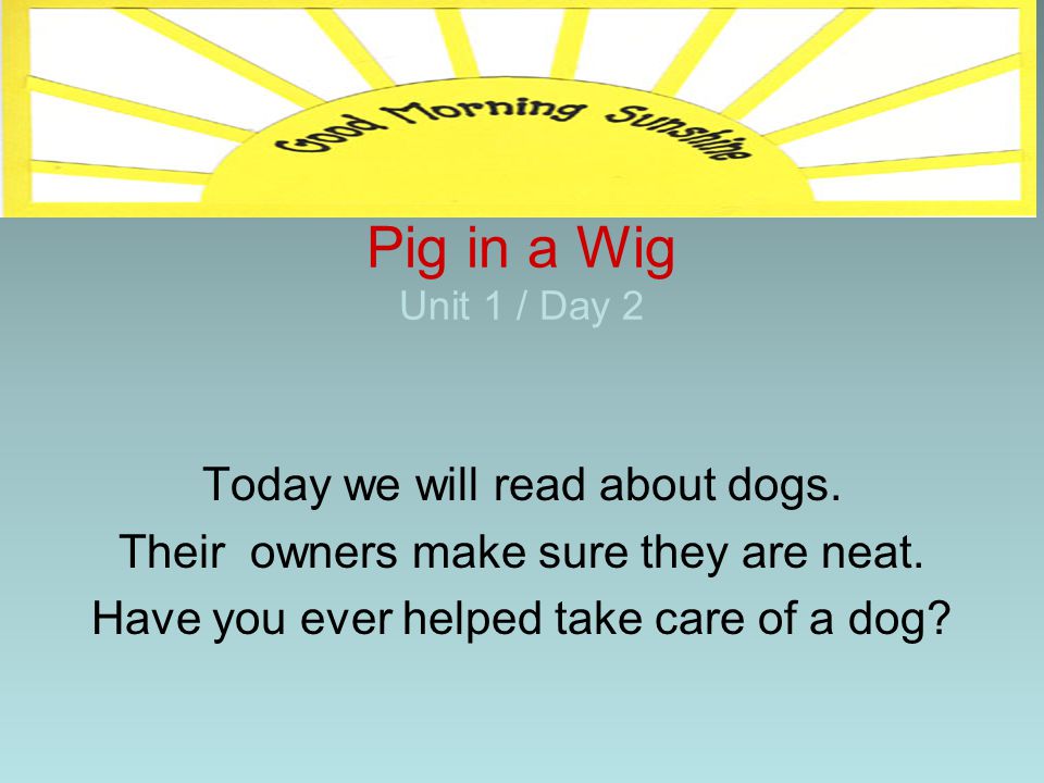 Pig in a Wig Unit 1 / Day 2 Today we will read about dogs.