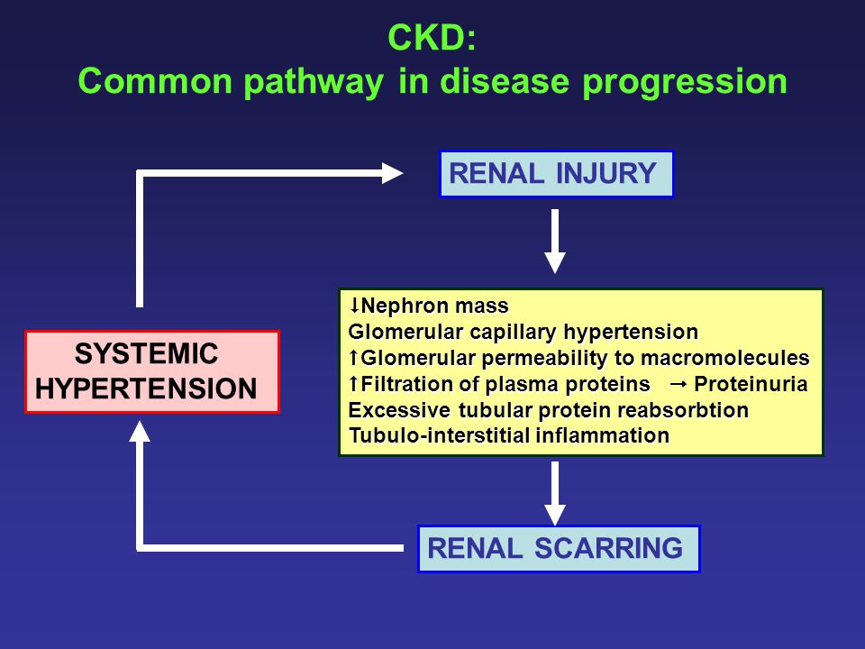CKD: Common pathway in disease progression