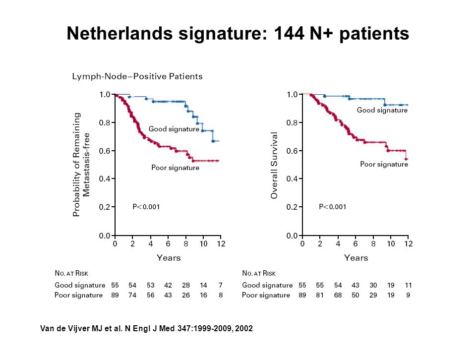 Netherlands signature: 144 N+ patients