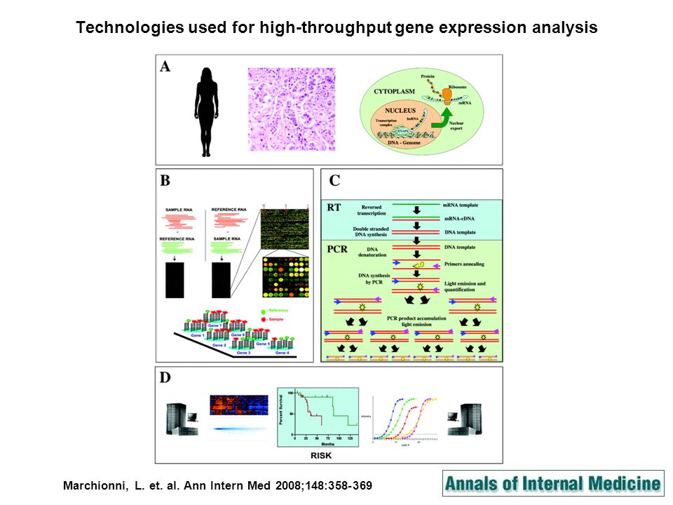 Technologies used for high-throughput gene expression analysis