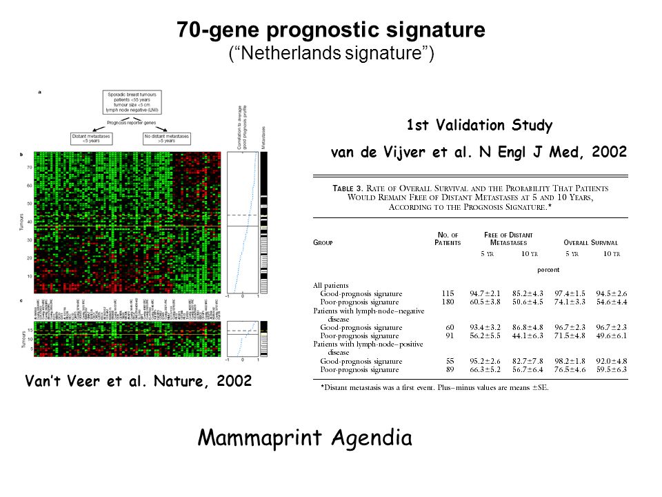 70-gene prognostic signature ( Netherlands signature )