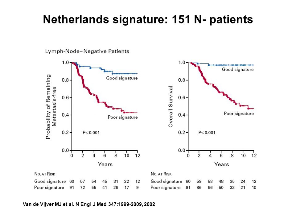 Netherlands signature: 151 N- patients